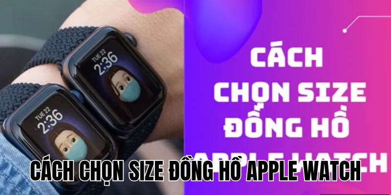 Tìm Hiểu Các Dòng Đồng Hồ Samsung Cho Người Mới Bắt Đầu